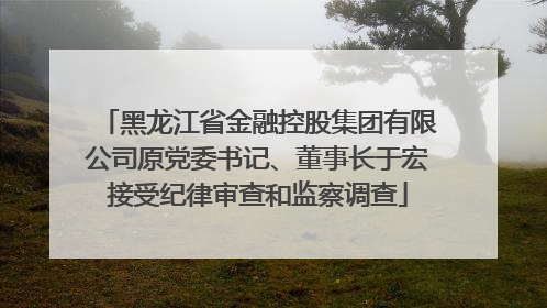 黑龙江省金融控股集团有限公司原党委书记、董事长于宏接受纪律审查和监察调查