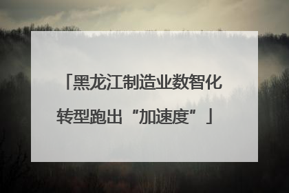 黑龙江制造业数智化转型跑出“加速度”
