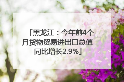 黑龙江：今年前4个月货物贸易进出口总值同比增长2.9%