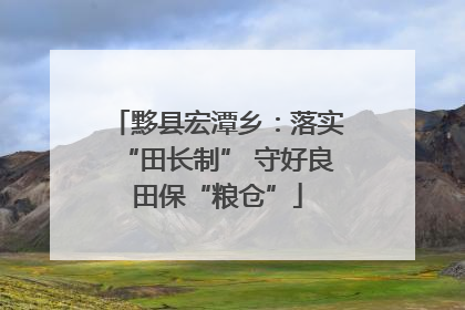 黟县宏潭乡：落实“田长制” 守好良田保“粮仓”