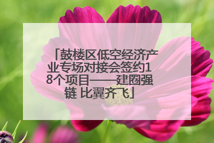 鼓楼区低空经济产业专场对接会签约18个项目——建圈强链 比翼齐飞