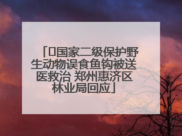 ﻿国家二级保护野生动物误食鱼钩被送医救治 郑州惠济区林业局回应