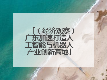（经济观察）广东加速打造人工智能与机器人产业创新高地