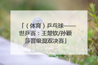 （体育）乒乓球——世乒赛：王楚钦/孙颖莎晋级混双决赛