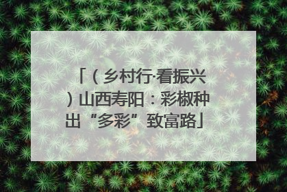 （乡村行·看振兴）山西寿阳：彩椒种出“多彩”致富路