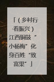 （乡村行·看振兴）江西铜鼓“小杨梅”化身百姓“致富果”