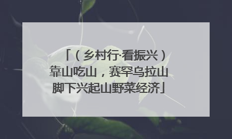 （乡村行·看振兴）靠山吃山，赛罕乌拉山脚下兴起山野菜经济