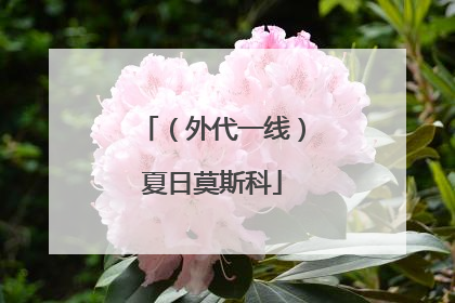 （外代一线）夏日莫斯科