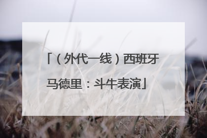 （外代一线）西班牙马德里：斗牛表演