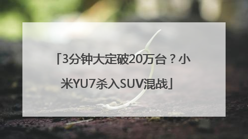 3分钟大定破20万台？小米YU7杀入SUV混战