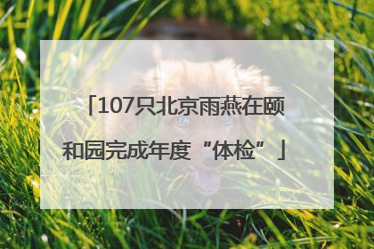 107只北京雨燕在颐和园完成年度“体检”