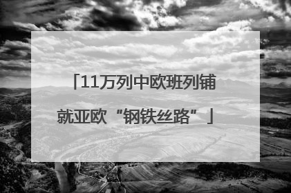 11万列中欧班列铺就亚欧“钢铁丝路”