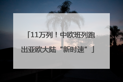 11万列！中欧班列跑出亚欧大陆“新时速”