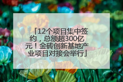 12个项目集中签约，总额超300亿元！金砖创新基地产业项目对接会举行