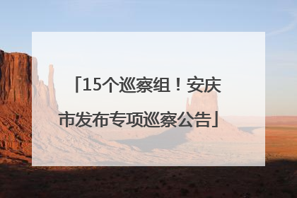 15个巡察组！安庆市发布专项巡察公告