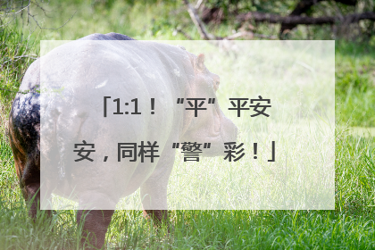 1:1！“平”平安安，同样“警”彩！