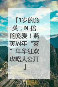 1岁的燕荚，N 倍的宠爱！燕荚周年“荚”年华狂欢攻略大公开