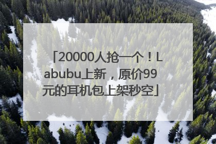 20000人抢一个！Labubu上新，原价99元的耳机包上架秒空