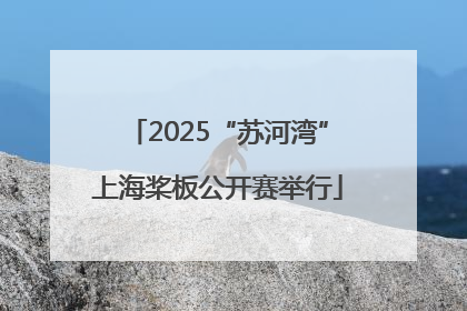2025“苏河湾”上海桨板公开赛举行