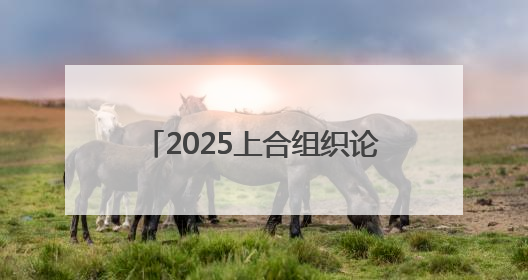 2025上合组织论坛 周鸿祎建言AI安全应对与柔性监管
