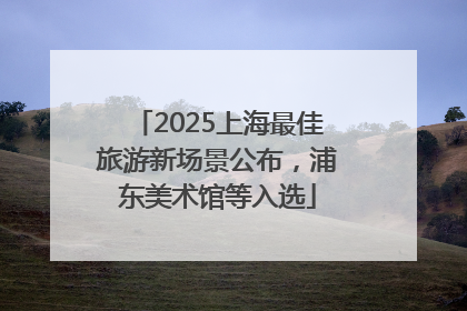 2025上海最佳旅游新场景公布，浦东美术馆等入选