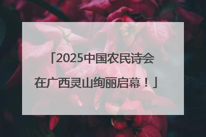 2025中国农民诗会在广西灵山绚丽启幕！