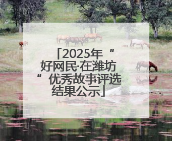 2025年“好网民·在潍坊”优秀故事评选结果公示