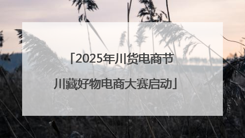 2025年川货电商节川藏好物电商大赛启动