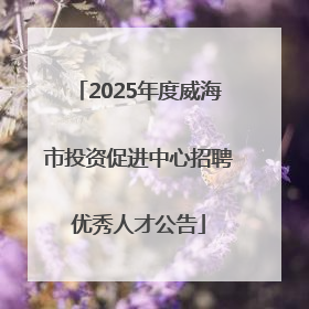 2025年度威海市投资促进中心招聘优秀人才公告