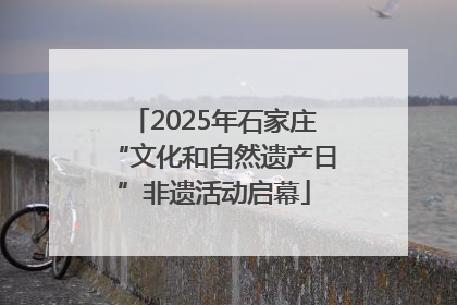 2025年石家庄“文化和自然遗产日”非遗活动启幕