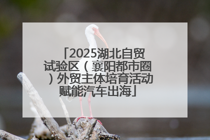 2025湖北自贸试验区（襄阳都市圈）外贸主体培育活动赋能汽车出海