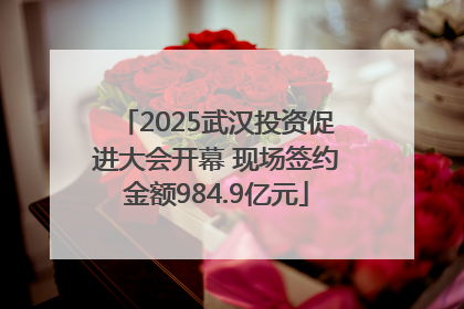 2025武汉投资促进大会开幕 现场签约金额984.9亿元