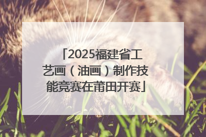 2025福建省工艺画（油画）制作技能竞赛在莆田开赛