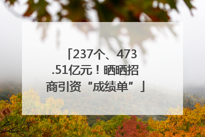 237个、473.51亿元！晒晒招商引资“成绩单”