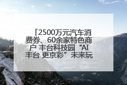 2500万元汽车消费券、60余家特色商户 丰台科技园“AI丰台 更京彩”未来玩家市集活动正式开幕