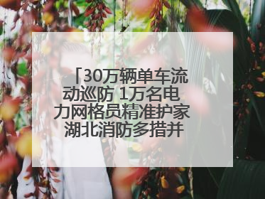 30万辆单车流动巡防 1万名电力网格员精准护家 湖北消防多措并举掀起“安全生产月”宣传热潮