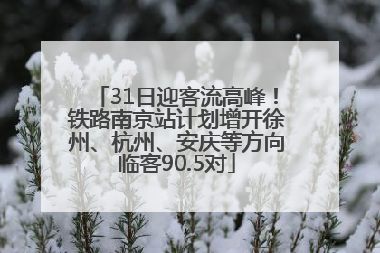 31日迎客流高峰！铁路南京站计划增开徐州、杭州、安庆等方向临客90.5对