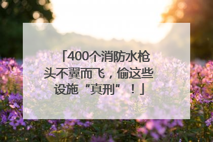 400个消防水枪头不翼而飞，偷这些设施“真刑”！