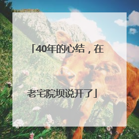 40年的心结，在老宅院坝说开了