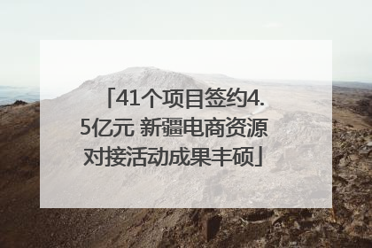 41个项目签约4.5亿元 新疆电商资源对接活动成果丰硕