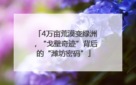 4万亩荒漠变绿洲，“戈壁奇迹”背后的“潍坊密码”