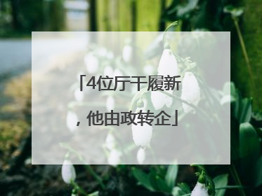 4位厅干履新，他由政转企