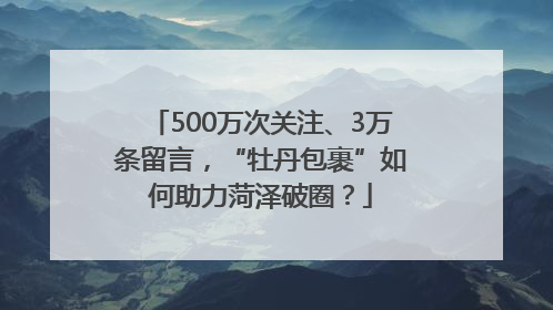 500万次关注、3万条留言，“牡丹包裹”如何助力菏泽破圈？