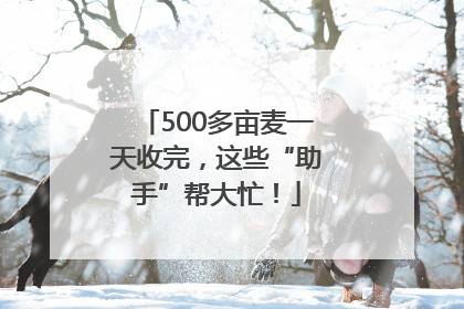 500多亩麦一天收完，这些“助手”帮大忙！