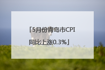 5月份青岛市CPI同比上涨0.3%