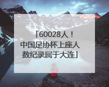 60028人！中国足协杯上座人数纪录属于大连
