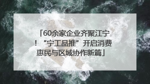 60余家企业齐聚江宁！“宁工品推”开启消费惠民与区域协作新篇