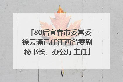 80后宜春市委常委徐云涌已任江西省委副秘书长、办公厅主任