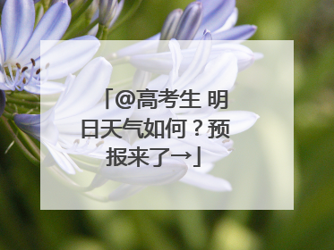 @高考生 明日天气如何？预报来了→