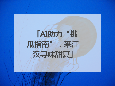 AI助力“挑瓜指南”，来江汉寻味甜夏